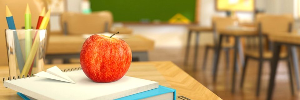 Sara MacIntyre banner