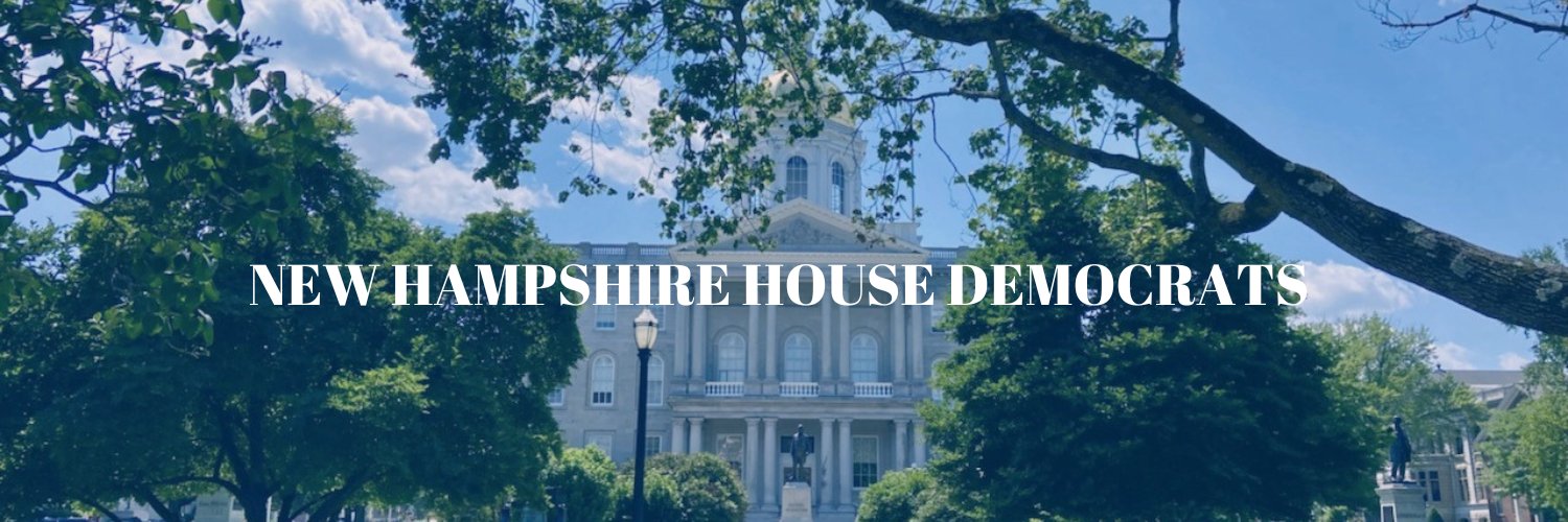 NH House Democrats's banner