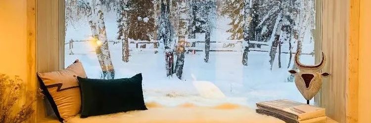 理万姬HIMESAMA banner