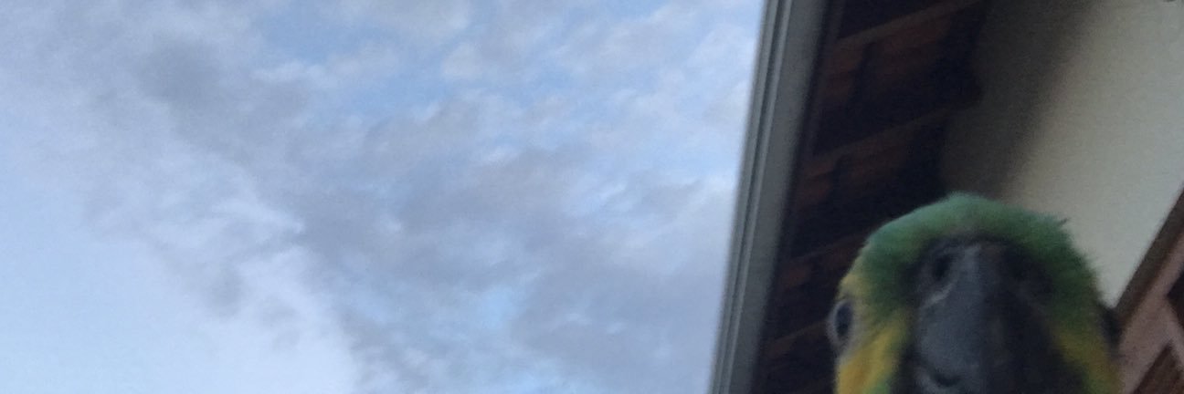 mafednz's profile banner image