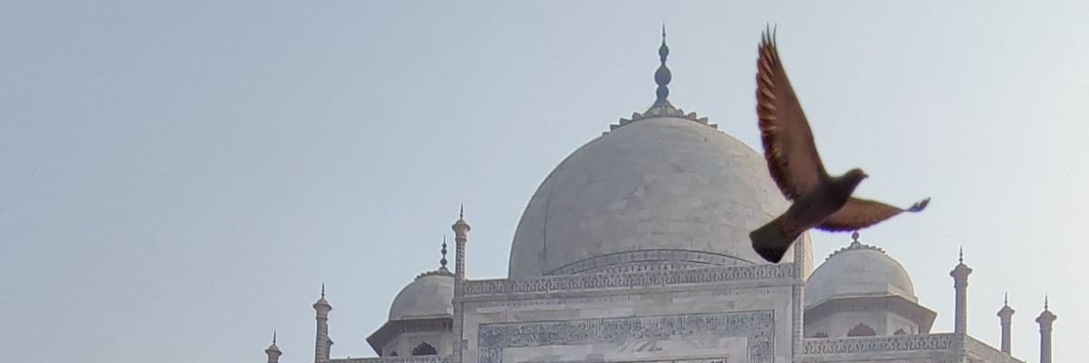 iharsh29's profile banner image