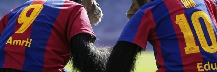 Edu banner