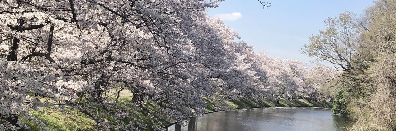 桜乃 優霊(手芸狐) banner