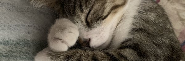 ElAbrahaham Profile Banner