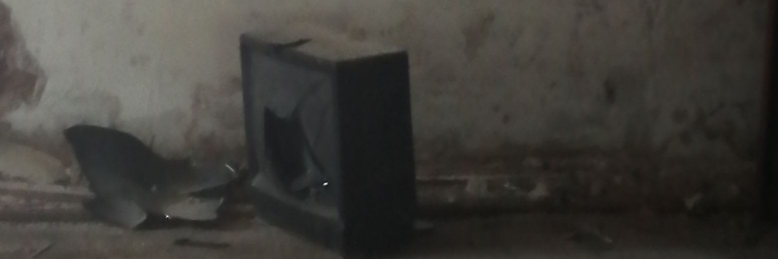 cerneoci's profile banner image
