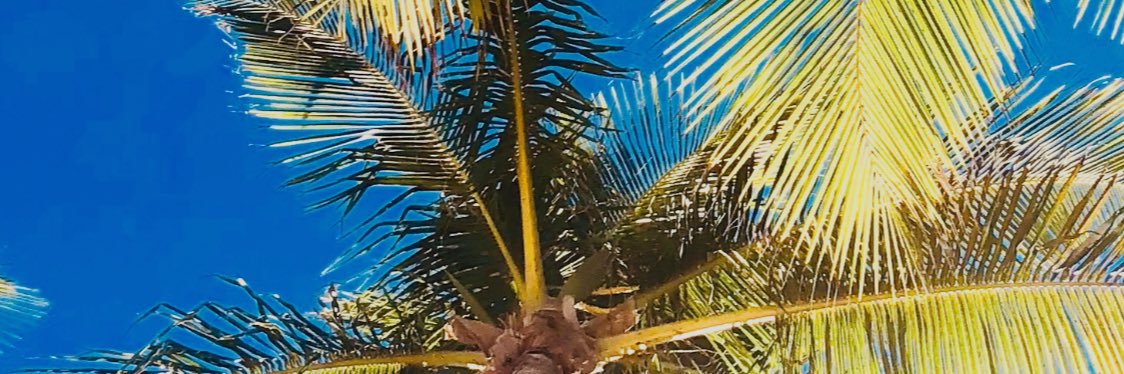 Tcamyo's profile banner image