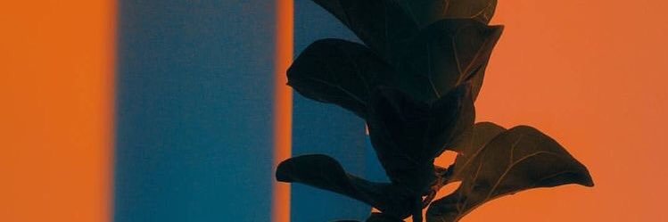 KareenEstrada's profile banner image