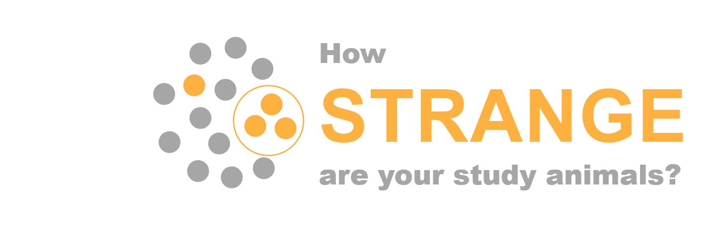 STRANGE animals banner