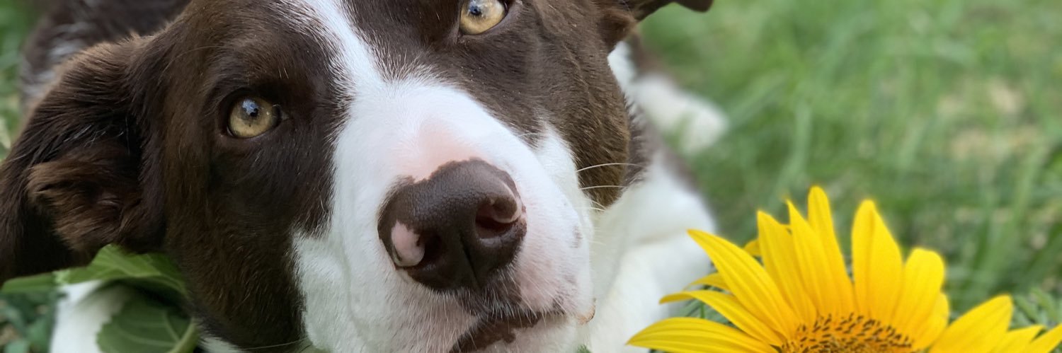 Christina Small, MD MPH banner