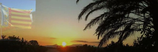 miguelsebir Profile Banner