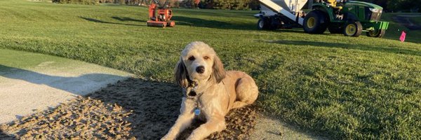 JTLatshawTurf Profile Banner