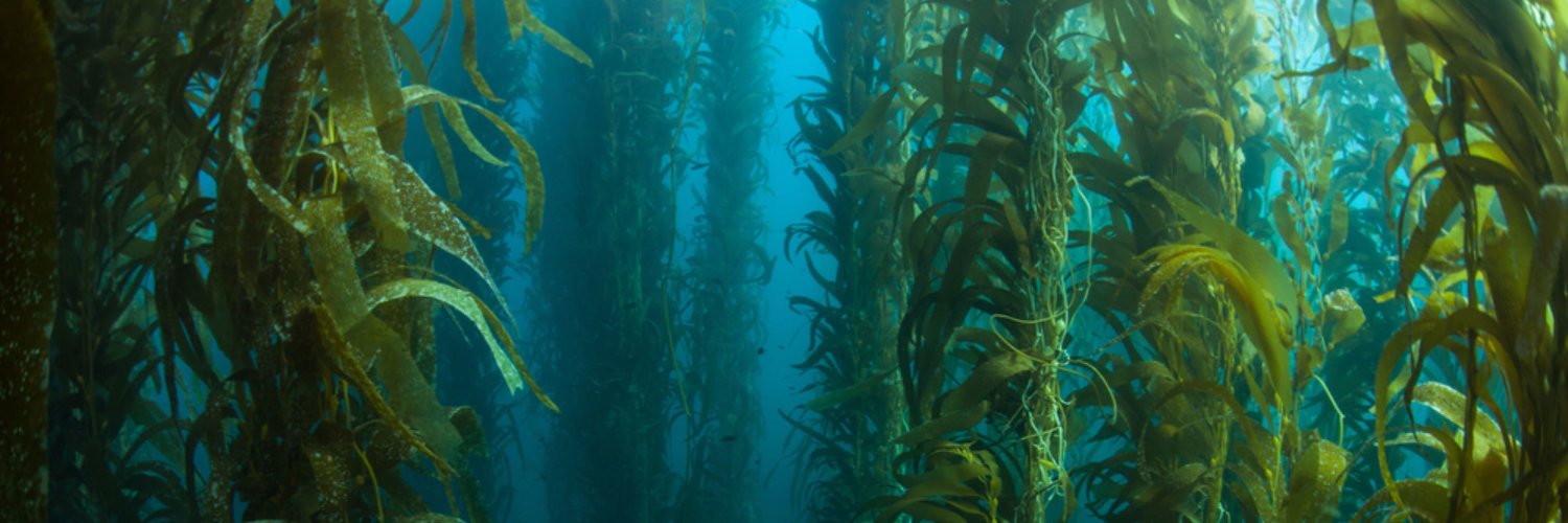 The Crop Project banner