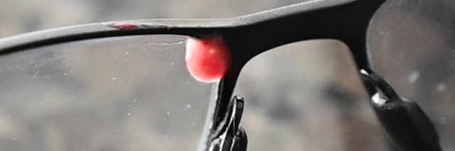 Lachunas Berme 📷 banner
