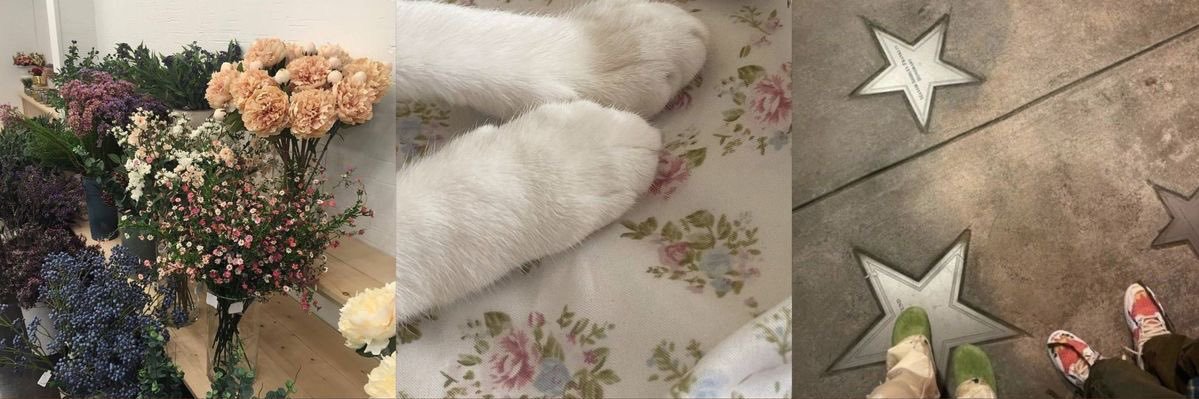 bru. 𝜗𝜚 sevEN banner