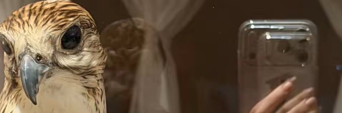 lli_n8's profile banner image