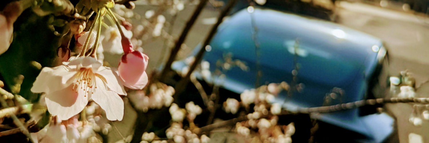 puhta's profile banner image