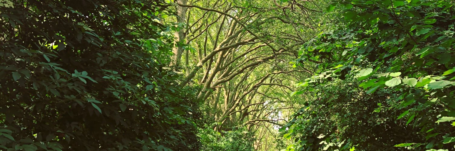 Bishop Challoner Geography banner