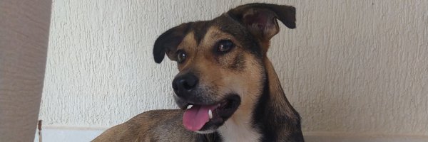 AlvaroMirandaa_ Profile Banner