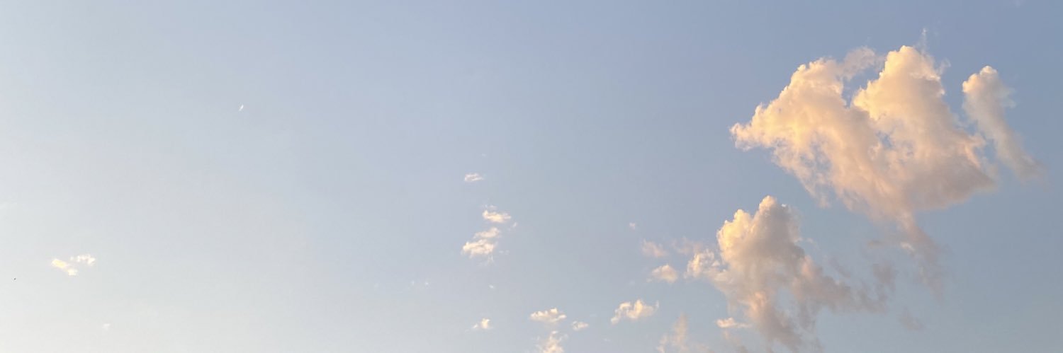 d a v i d d a n g banner