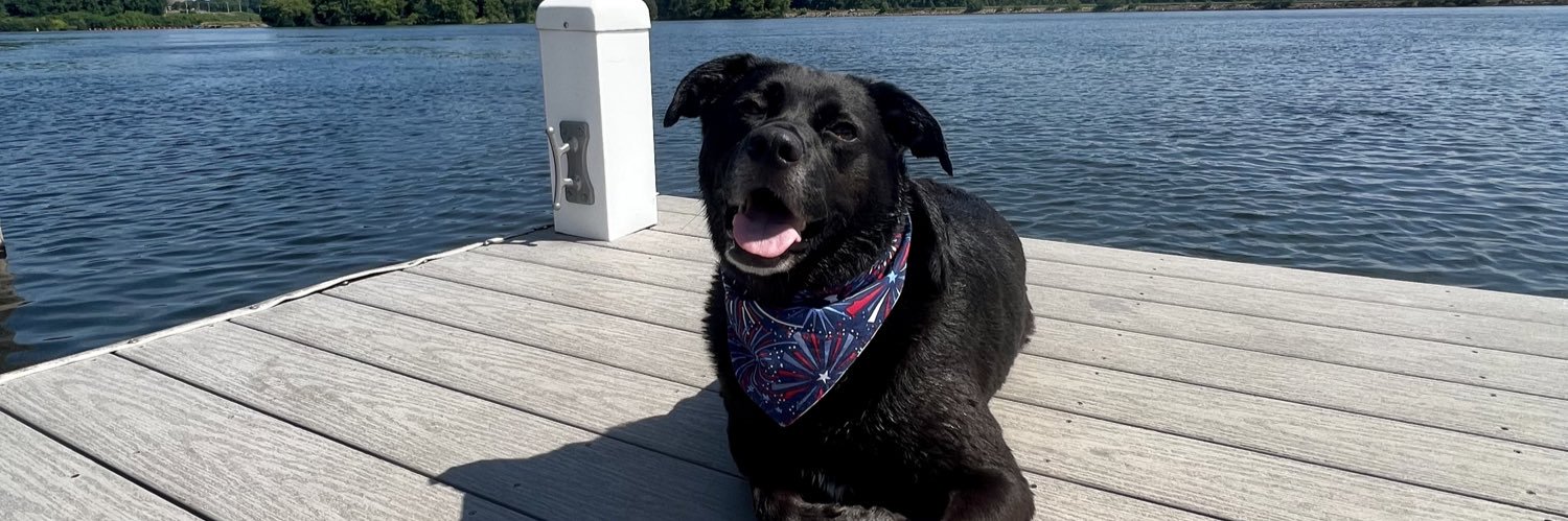 Christina Sather banner