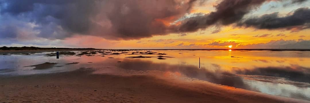 Claus C Hilgetag banner