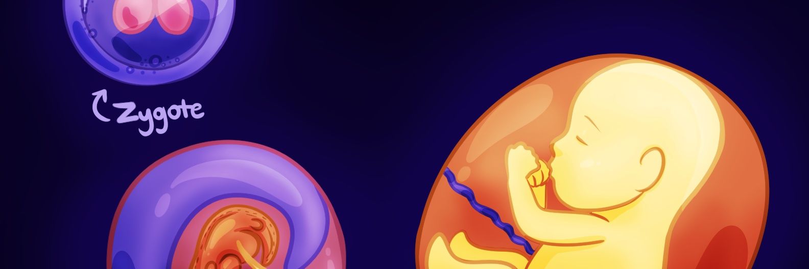 PTElephant's profile banner image