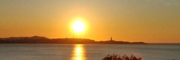 MrHomocedastico Profile Banner