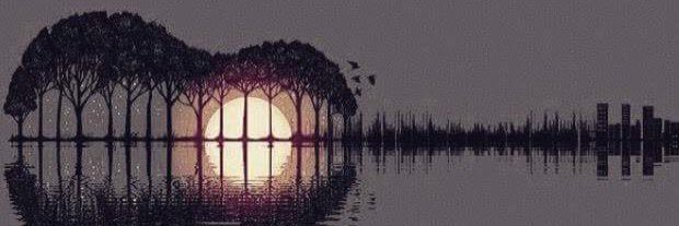 coko605's profile banner image