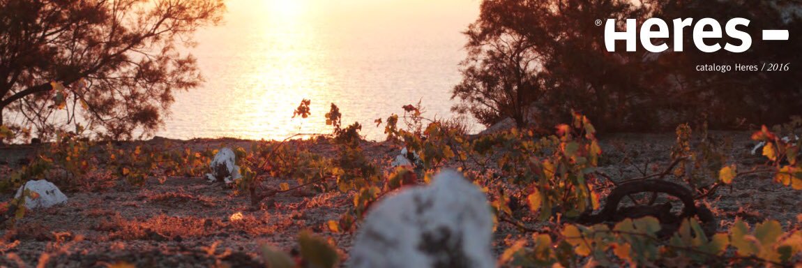 hereswine's profile banner image