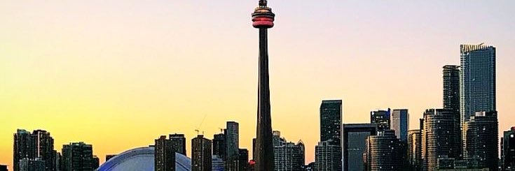 🐎 banner