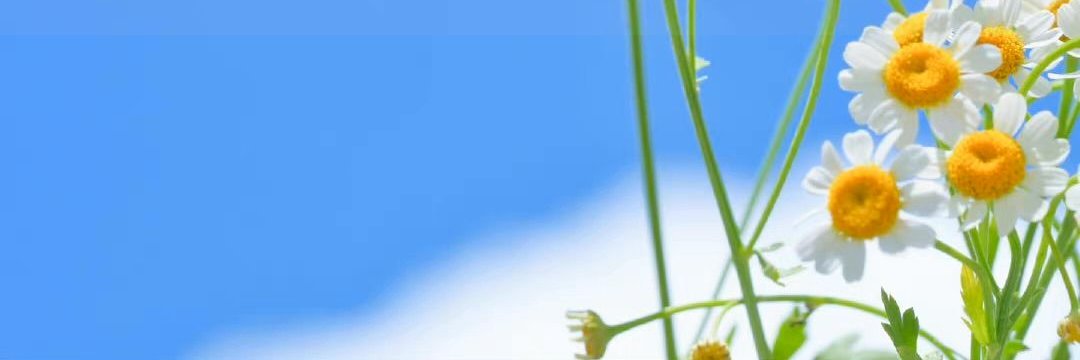 oriol_ramirez's profile banner image