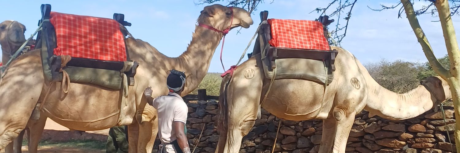 @Equine Dentist Kenya banner