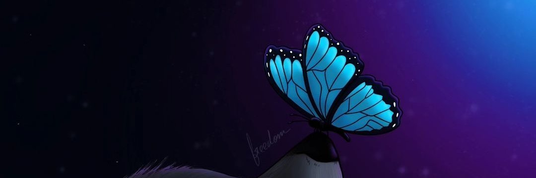 FreedomA2L's profile banner image