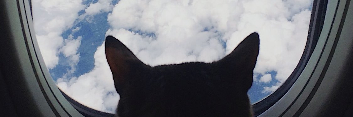 TropAnnie's profile banner image