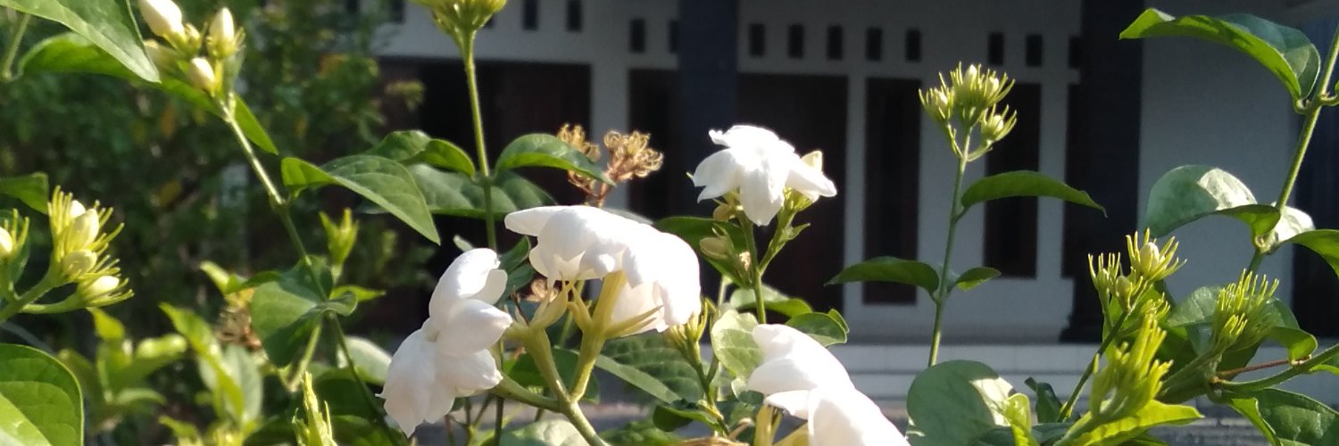 raniTwienz's profile banner image