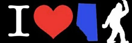 Dr. Amy Mack (she/her) banner