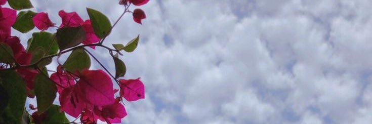 srr_4422's profile banner image