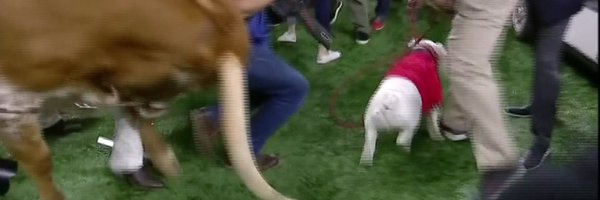 TheTexasHomer Profile Banner