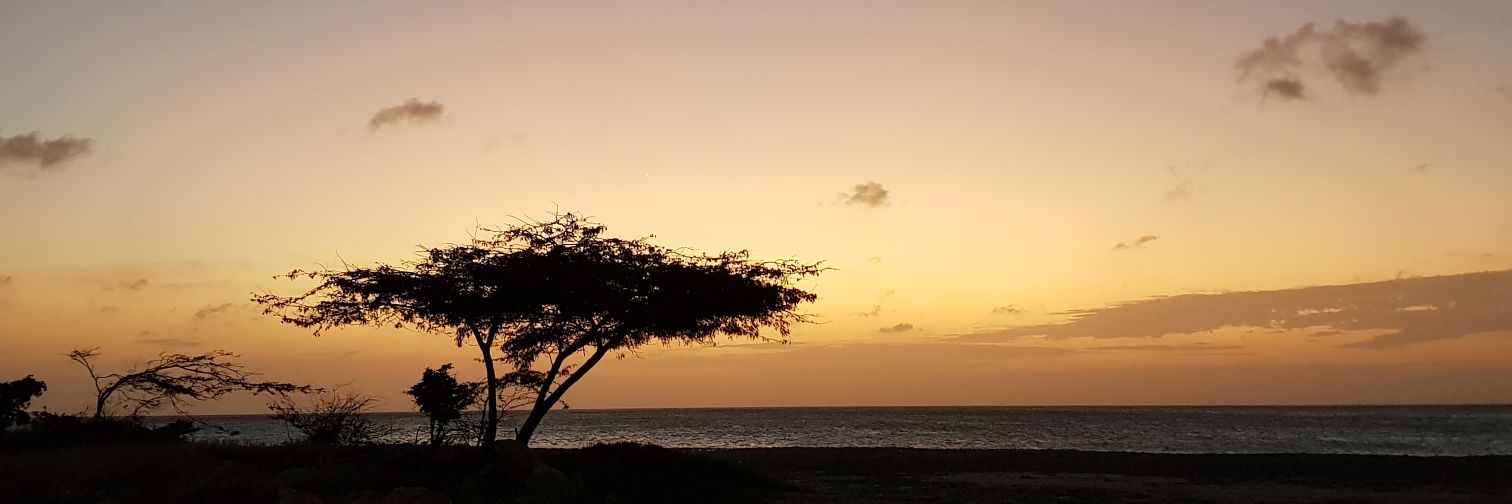 luismieles's profile banner image