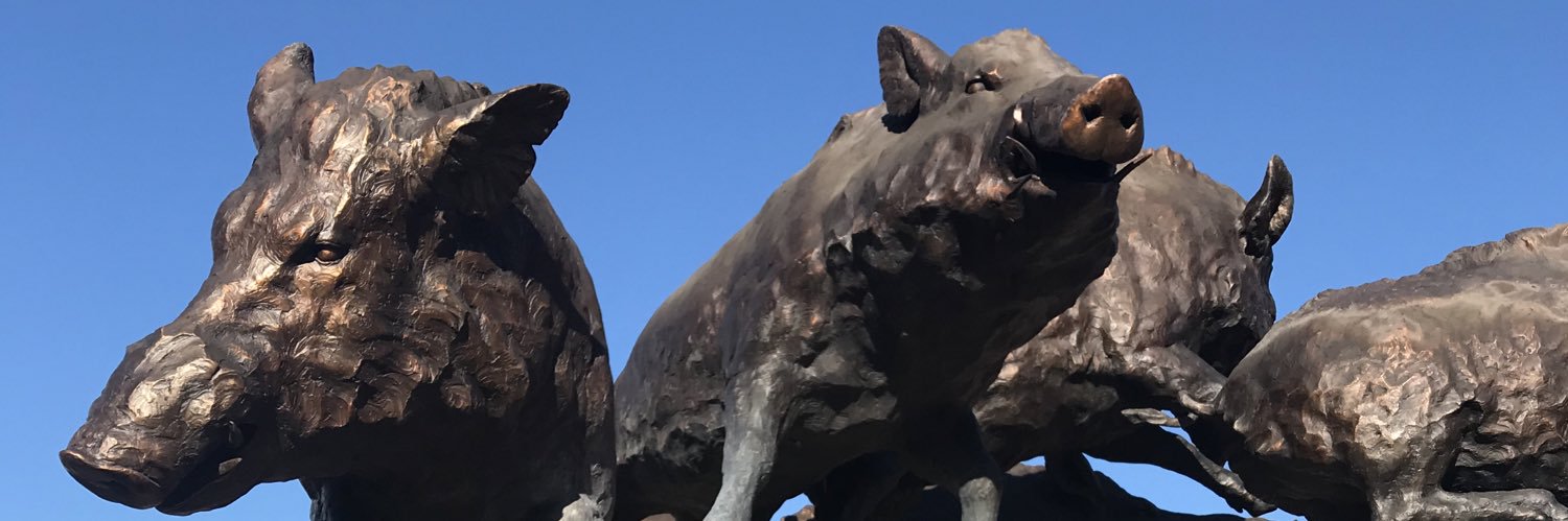 HogsAreLife80's profile banner image