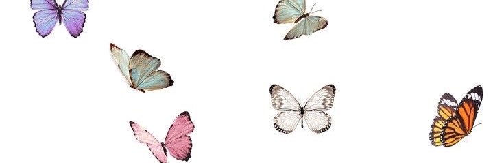 ClaudiaAlmendra's profile banner image