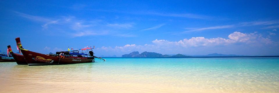 T_PK49's profile banner image