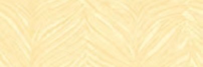 gabriel_xw's profile banner image