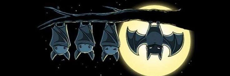 rroyo83's profile banner image