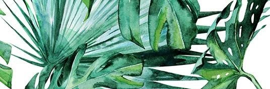 cheyenninnette's profile banner image