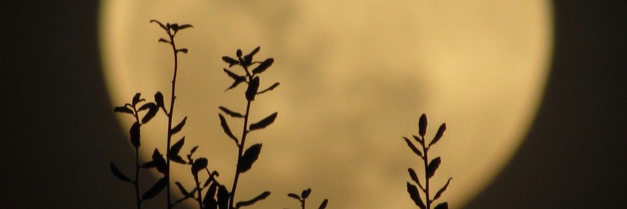 saaveey's profile banner image