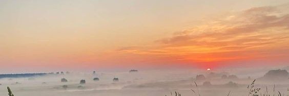 Charin🌸 banner