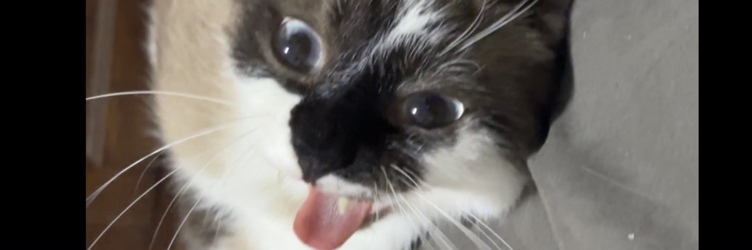 _Patreeeeeck's profile banner image