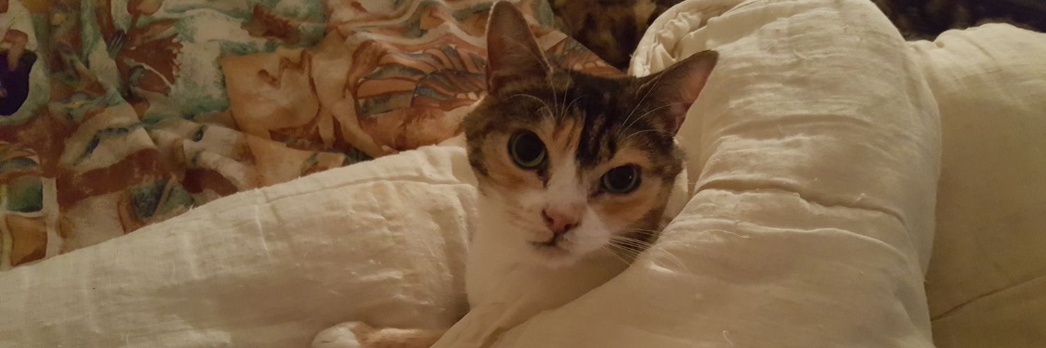 SeXiiMynX's profile banner image