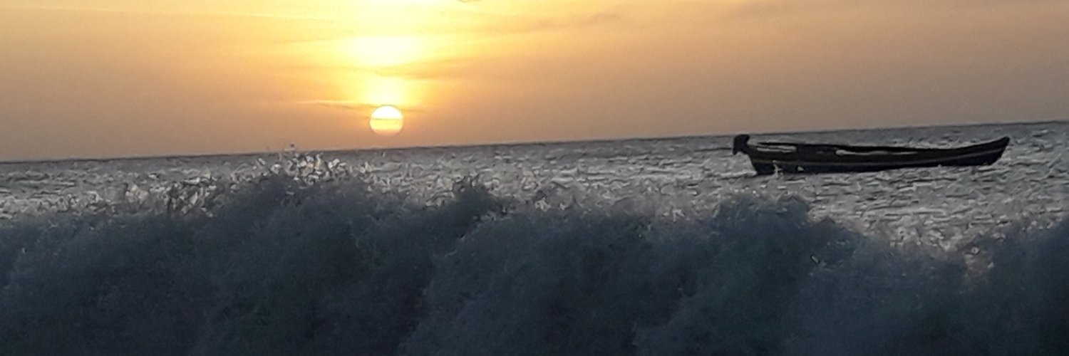 Silvina Coronello banner